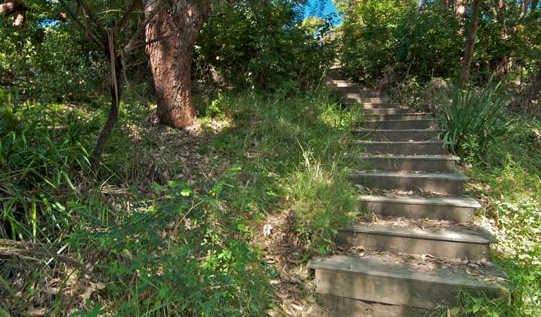 Stairs on The Coast walking track. Photo: John Spencer