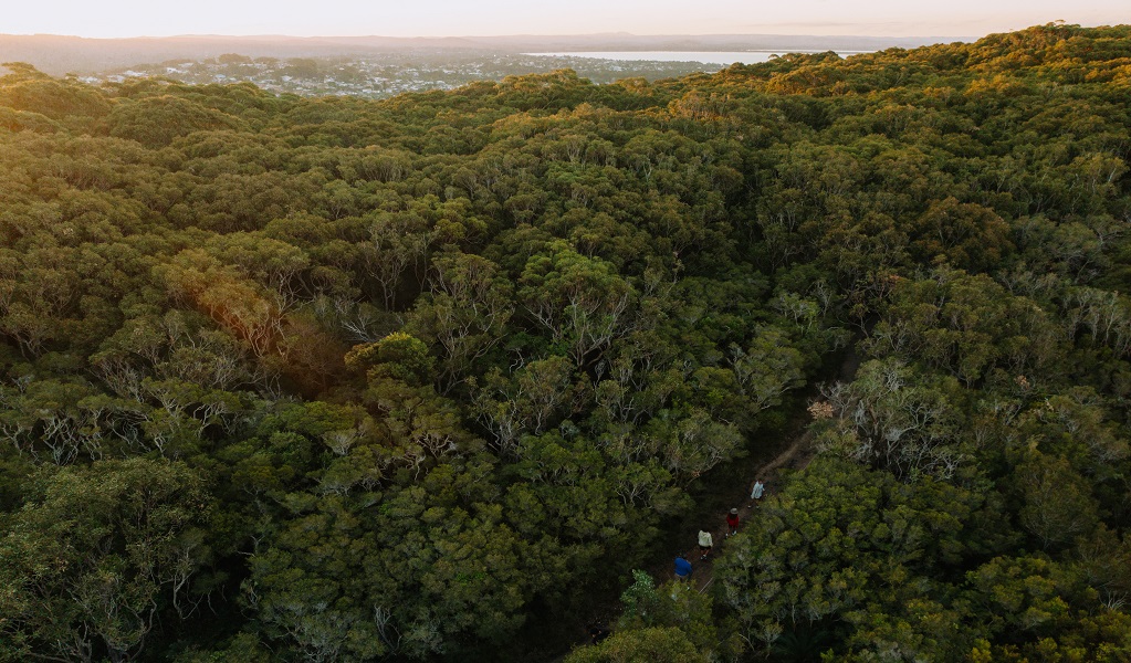 Aerial view of Crackneck lookout along The Coast walking track. Photo: Remy Brand/DCCEEW &copy; Remy Brand