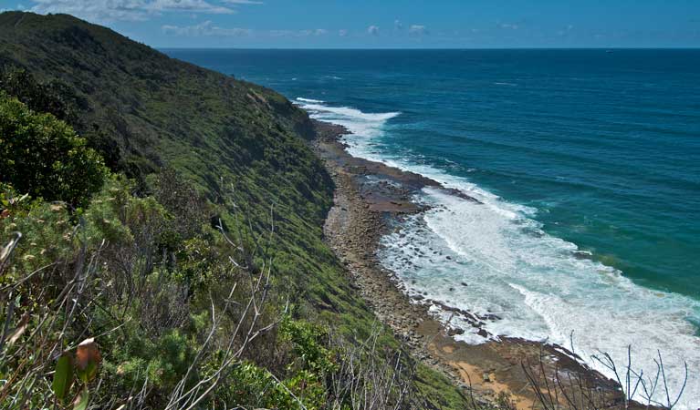 Waves against the coastline, Wyrrabalong National Park. Photo: John Spencer