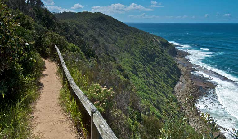 Coastal walking trail, Wyrrabalong National Park. Photo: John Spencer/OEH