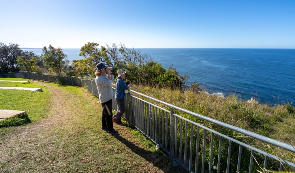 People whale-watching from Crackneck Point lookout in Wyrrabalong National Park. Photo: John Spencer &copy; DPE