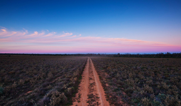 Follow the dirt track to Yanga National Park. Photo: David Finnegan &copy; DPIE