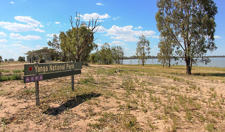 Regatta Beach picnic area, Yanga National Park. Photo: Samuel Steel