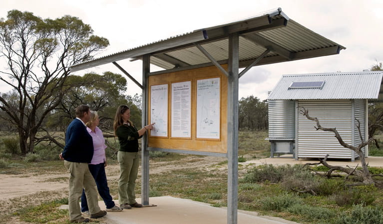 People reading a sign in the Willows campground. Photo: Boris Hlavica/NSW Government