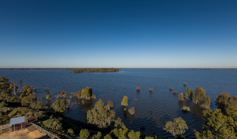 Yanga Lake, Yanga National Park. Photo: David Finnegan &copy; OEH