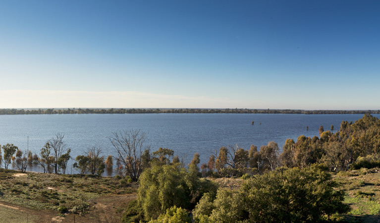 Yanga Lake viewing deck, Yanga National Park. Photo: David Finnegan &copy; OEH