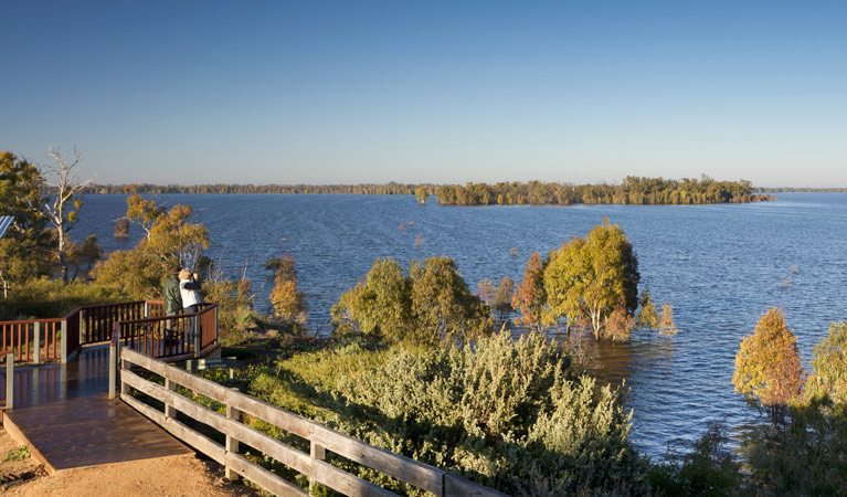 Yanga Lake viewing deck, Yanga National Park. Photo: David Finnegan &copy; OEH