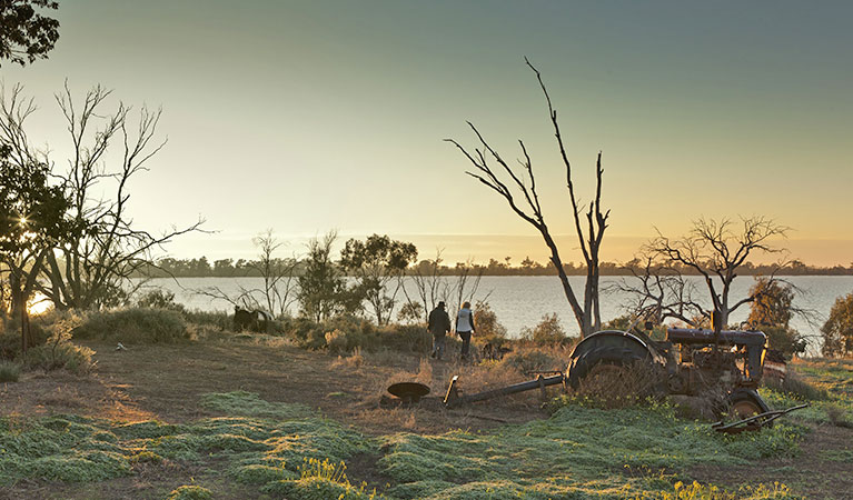 Yanga Lake walking track, Yanga National Park. Photo: David Finnegan