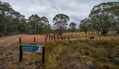 Apple Box Picnic Area, Yanununbeyan State Conservation. Photo: John Spencer/NSW Government