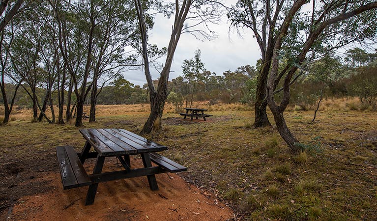 Apple Box Picnic Area, Yanununbeyan State Conservation. Photo: John Spencer/NSW Government