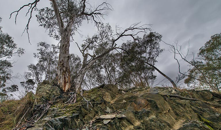 Yanununbeyan State Conservation Area. Photo: John Spencer/NSW Government