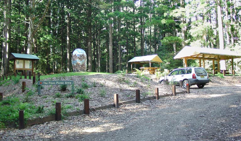 The Pines picnic area, Yarriabini National Park. Photo: A Turbill/NSW Government