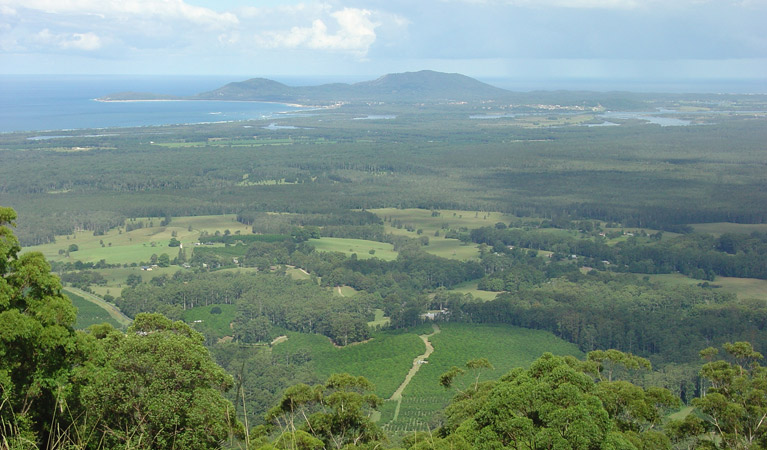 Yarriabini lookout, Yarriabini National Park. Photo: A Turbill/NSW Government