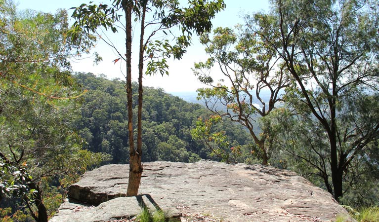 Yellow Rock, Yellomundee Regional Park. Photo: John Yurasek/OEH