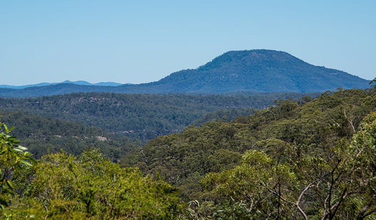 Finchley campground, Yengo National Park. Photo: John Spencer/NSW Government
