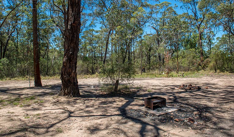 Finchley campground, Yengo National Park. Photo: John Spencer/NSW Government