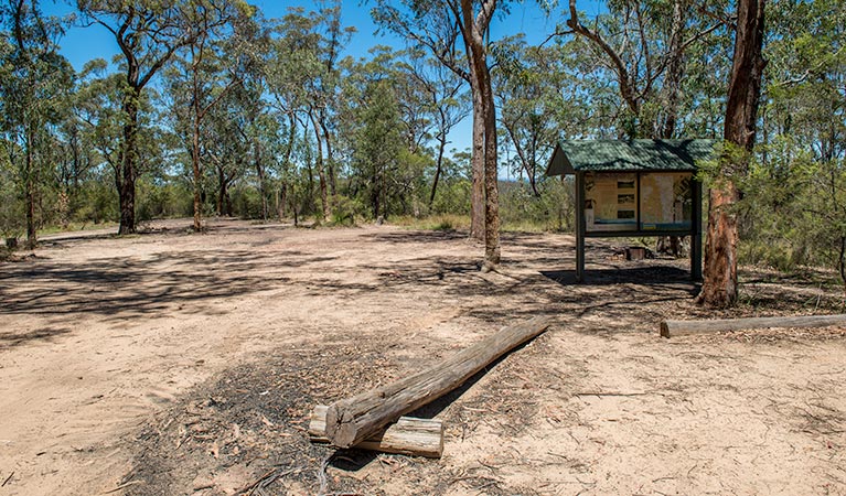 Finchley campground, Yengo National Park. Photo: John Spencer/NSW Government