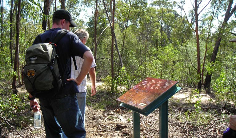 Finchley Cultural Walk, Yengo National Park. Photo: Susan Davis &copy; OEH