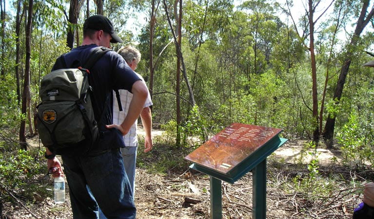 Finchley Cultural Walk, Yengo National Park. Photo: Susan Davis/NSW Government