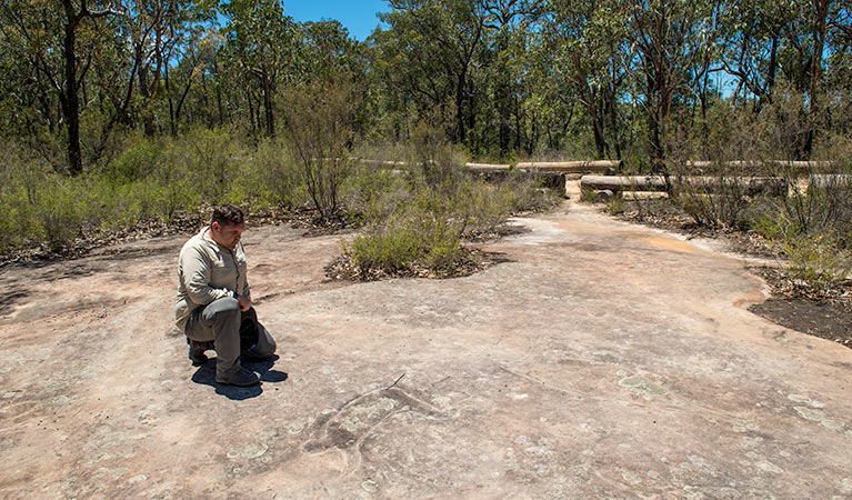 Finchley Cultural Walk, Yengo National Park. Photo: John Spencer