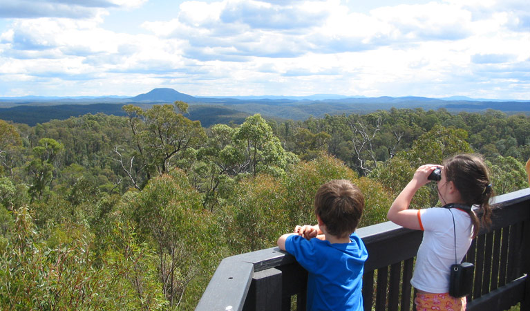 Finchley Lookout, Yengo National Park. Photo: Susan Davis