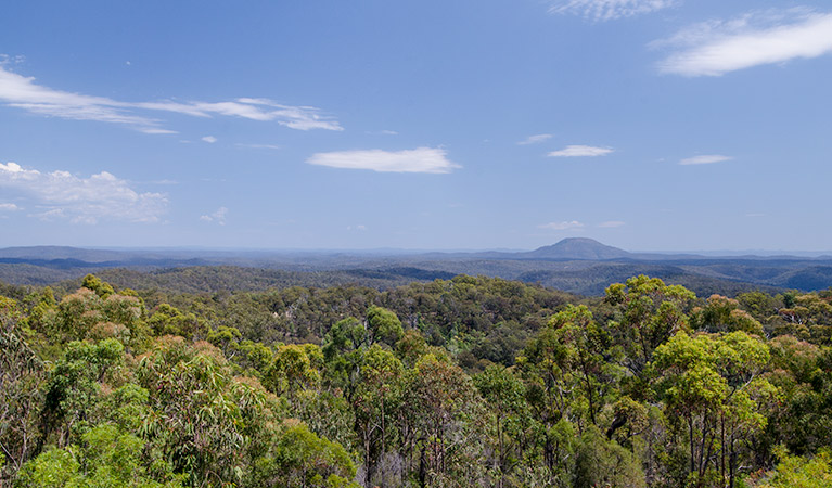 Finchley lookout, Yengo National Park. Photo: John Spencer