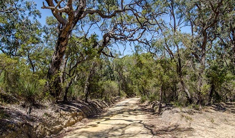 Howes trail, Yengo National Park. Photo: John Spencer