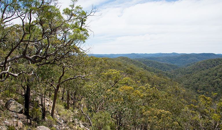 Howes trail, Yengo National Park. Photo: John Spencer