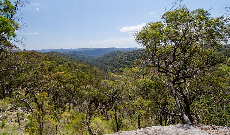 Howes trail, Yengo National Park. Photo: John Spencer