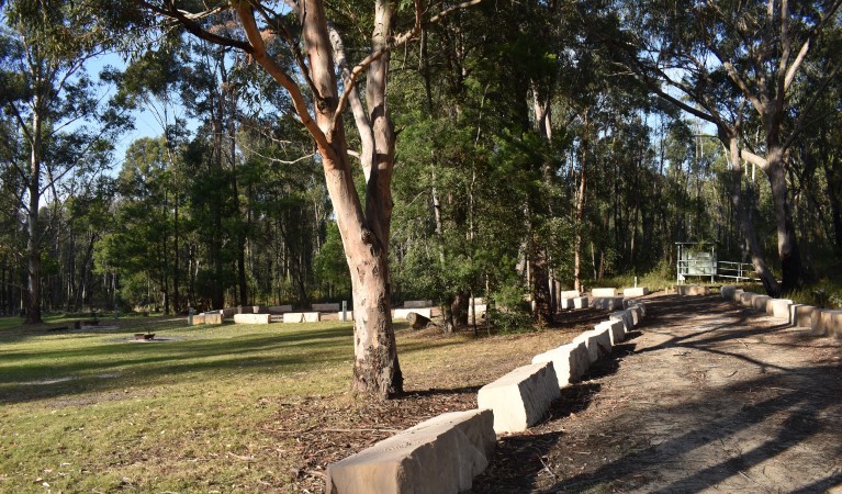 The road beside Mogo campground in Yengo National Park. Photo: Sarah Brookes &copy; DPIE