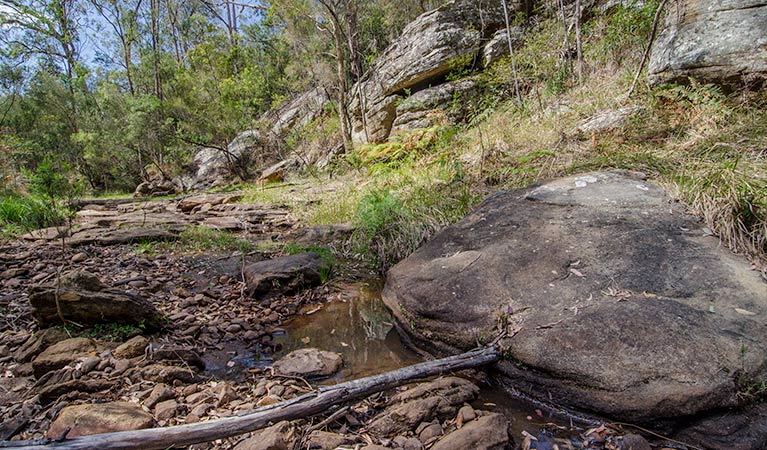 Mountain Arm campground, Yengo National Park. Photo: John Spencer/DPIE