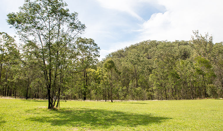 Mountain Arm campground, Yengo National Park. Photo: John Spencer/DPIE