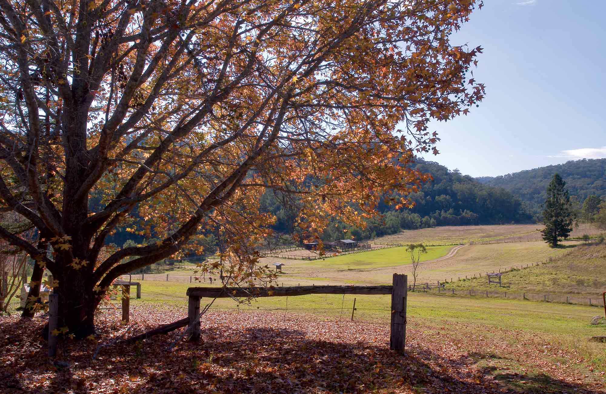 Valley view from Big Yango homestead. Photo: NSW Government.