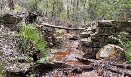 Bridge on Shepherds Gully circuit in Yengo National Park. Photo credit: Sarah Brookes &copy; DPIE