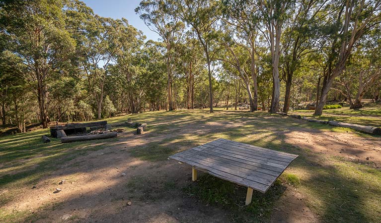 A wooden table with fire pit in the background, at Private Town campground in Yerranderie Regional Park. Photo: John Spencer/OEH