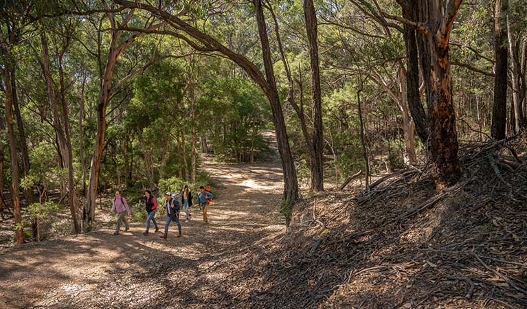 A group of friends walking along Silver Peak Mine track in Yerranderie Regional Park. Photo: John Spencer/OEH