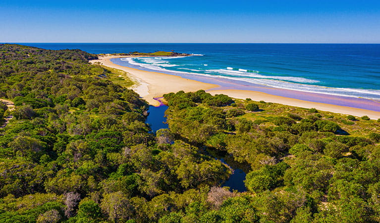 An aerial view of Angourie Bay picnic area, surrounding bushland and beach in Yuraygir National Park. Photo: Jessica Robertson &copy; DPIE
