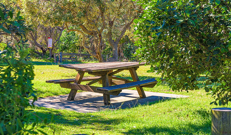 A picnic table in Angourie Bay picnic area in Yuraygir National Park. Photo: Jessica Robertson &copy; DPIE