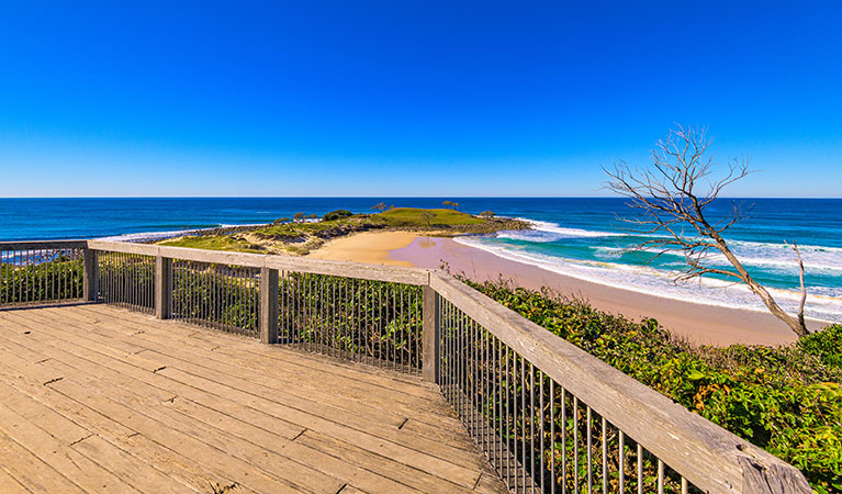 The view of the beach from the viewing platform at Angourie Bay picnic area in Yuraygir National Park. Photo: Jessica Robertson &copy; DPIE