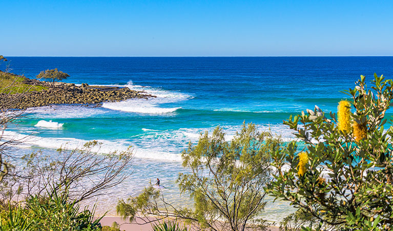 The view of the beach through trees at Angourie Bay picnic area in Yuraygir National Park. Photo: Jessica Robertson &copy; DPIE