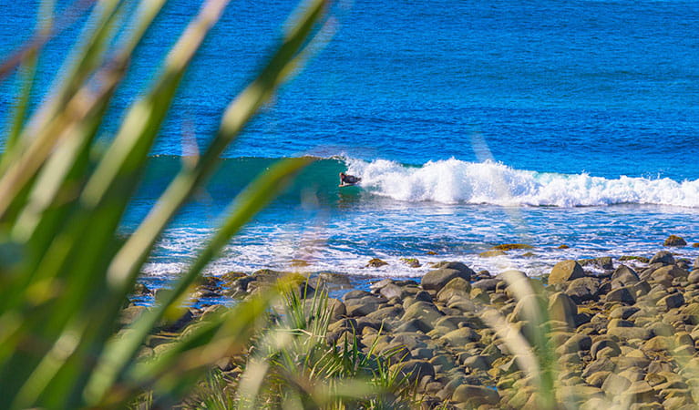 A surfer riding the waves at the beach near Angourie Bay picnic area in Yuraygir National Park. Photo: Jessica Robertson &copy; DPIE