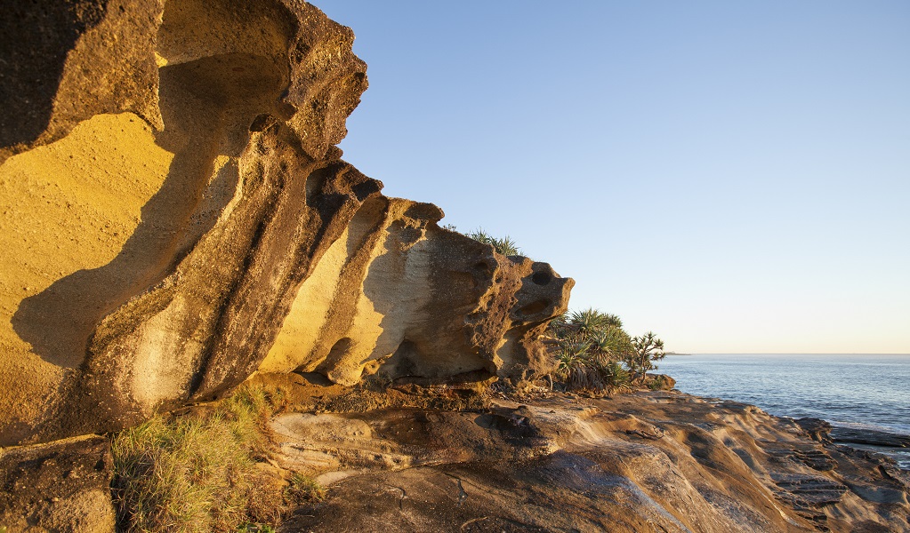 Angourie to Brooms Head walking track, Yuraygir National Park. Photo: Rob Cleary &copy; OEH