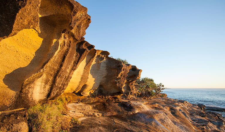 Angourie to Brooms Head, Yuraygir National Park. Photo: Rob Cleary &copy; OEH