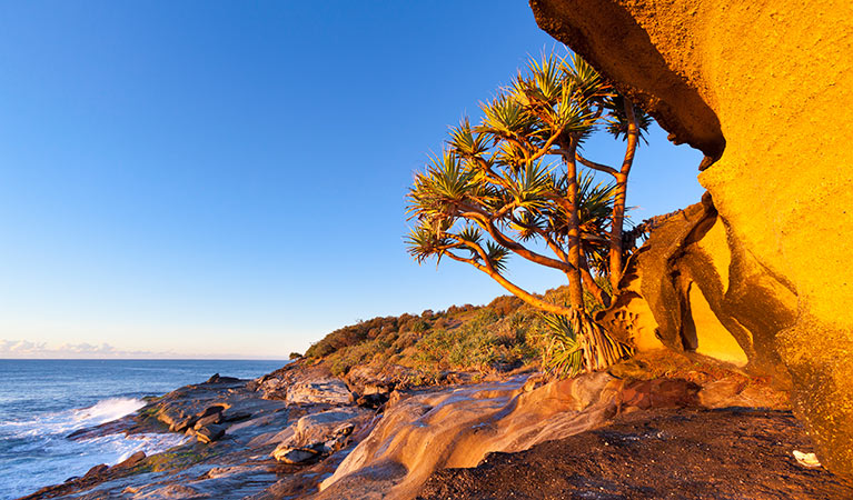 Angourie to Brooms Head walking track, Yuraygir National Park. Photo: Rob Cleary &copy; OEH