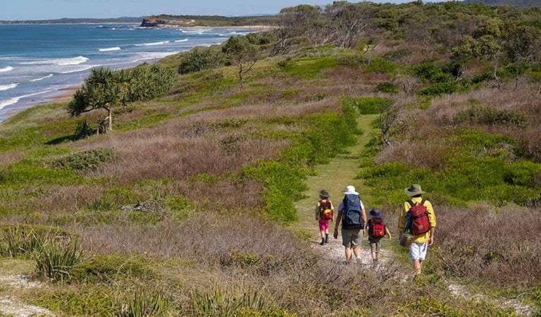 Angourie to Brooms Head walking track, Yuraygir National Park. Photo: Rob Cleary &copy; OEH