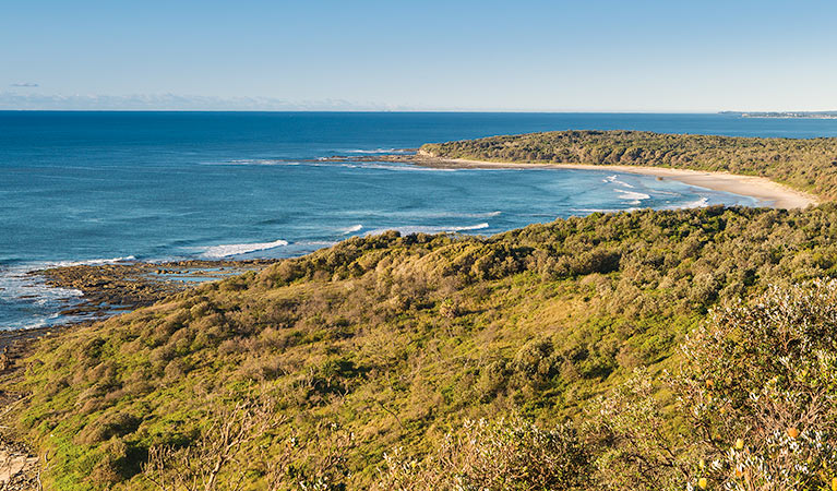 Angourie walking track, Yuraygir National Park. Photo: Rob Cleary &copy; OEH