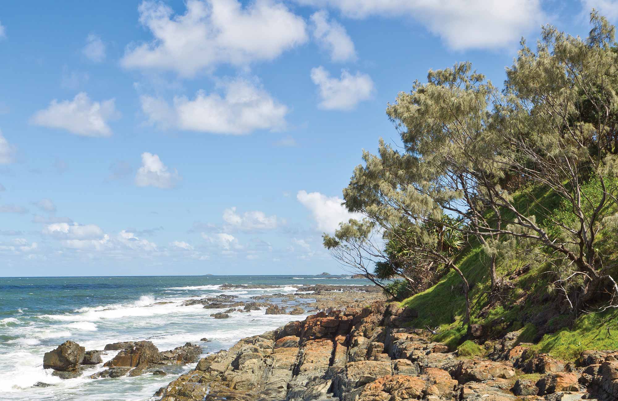 Pebbly Beach Campground, Yuraygir National Park. Photo: Rob Cleary