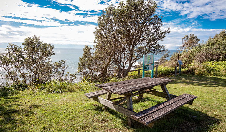 A picnic table overlooking the ocean at Boorkoom campground in Yuraygir National Park. Photo: Robert Cleary/DPIE
