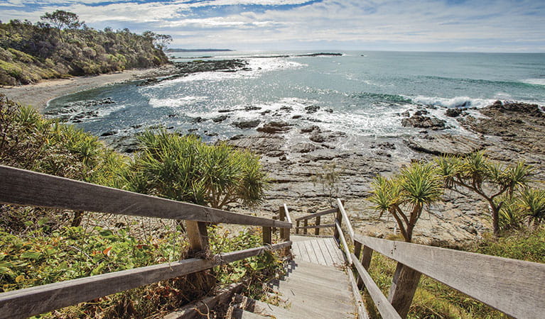 Steps to Wilsons Headland near Boorkoom campground in Yuraygir National Park. Photo: Robert Cleary/DPIE 