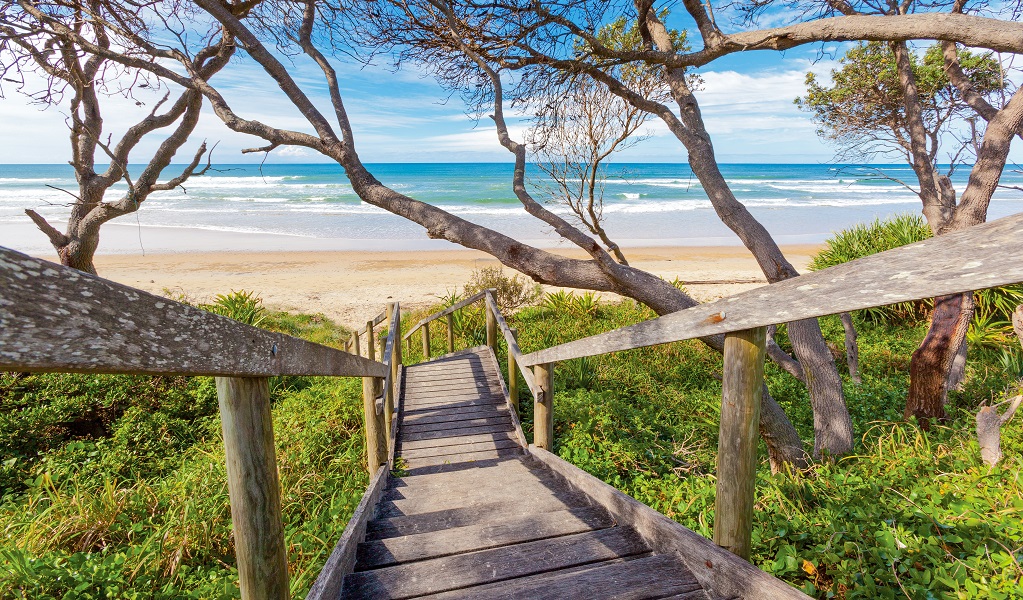 Brooms Head to Illaroo walking track, Yuraygir National Park. Photo: Rob Cleary &copy; OEH